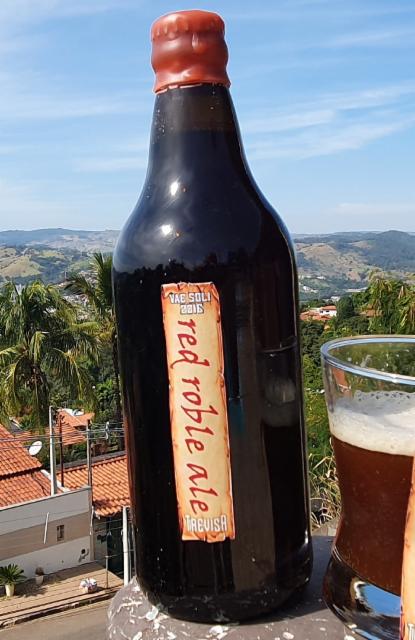 trevisa red roble ale - barrel aged 10.0%, Trevisa, Brazil