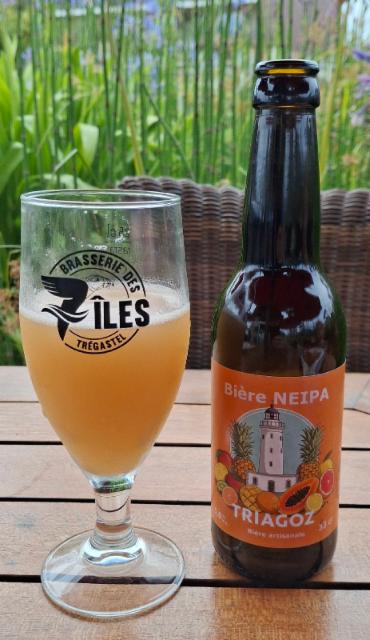 triagoz 5.8%, Brasserie Des 7 Îles, France