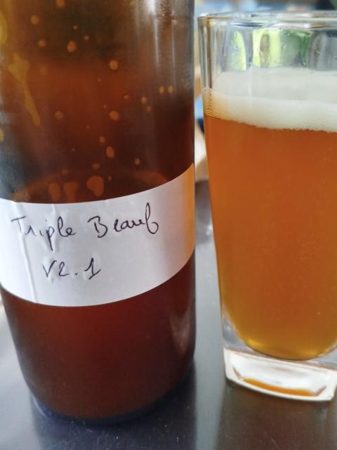 Triple Beauf V2.1 7.0%, DAF, France