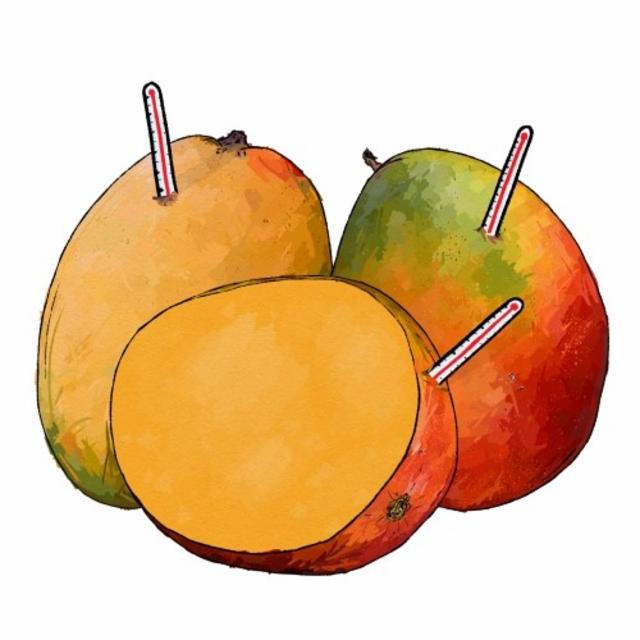 Triple Mangofeber 10.0%, Brewski, Sweden