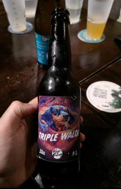 Triple Waldi, Hop Gang