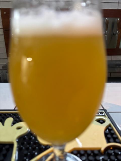 Tripping animals, Oso Brew Co.