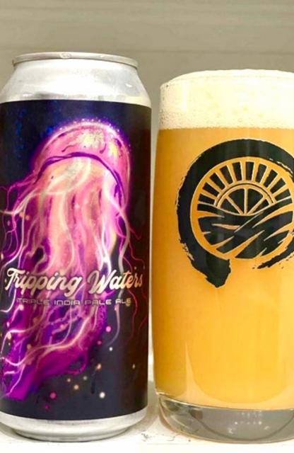 Tripping Waters 10.0%, Vitamin Sea Brewing, United States