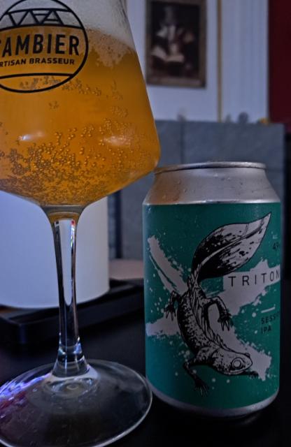 Triton 4.9%, La Source Beer Co., Belgium