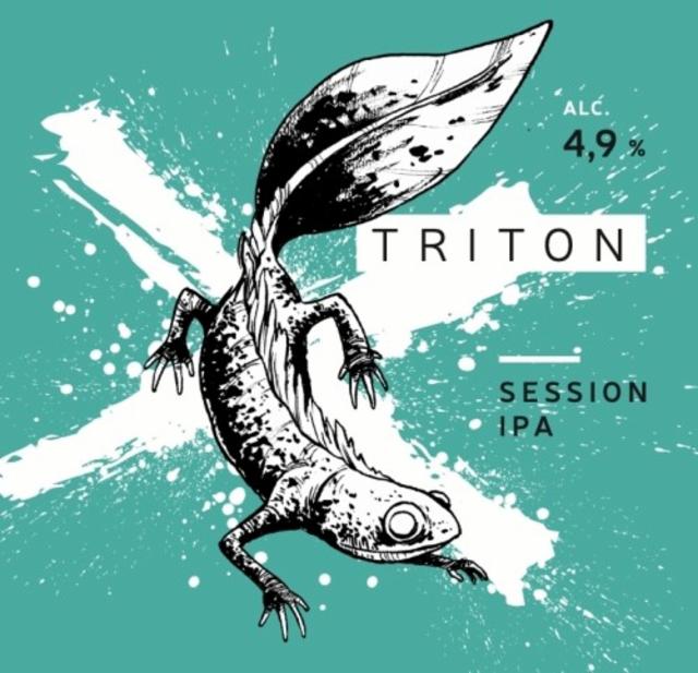 Triton 4.9%, La Source Beer Co., Belgium