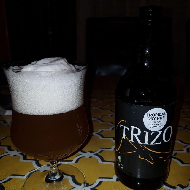 Trizo 10.0%, HopEra Microbrasserie & Pizzeria, Canada