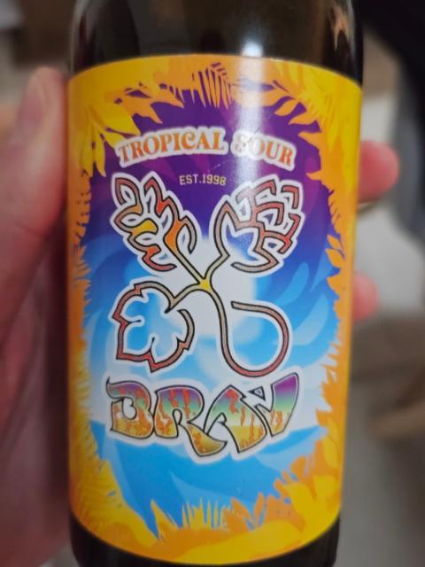 tropical sour, La Brasserie Du Vignoble (Bra'V)