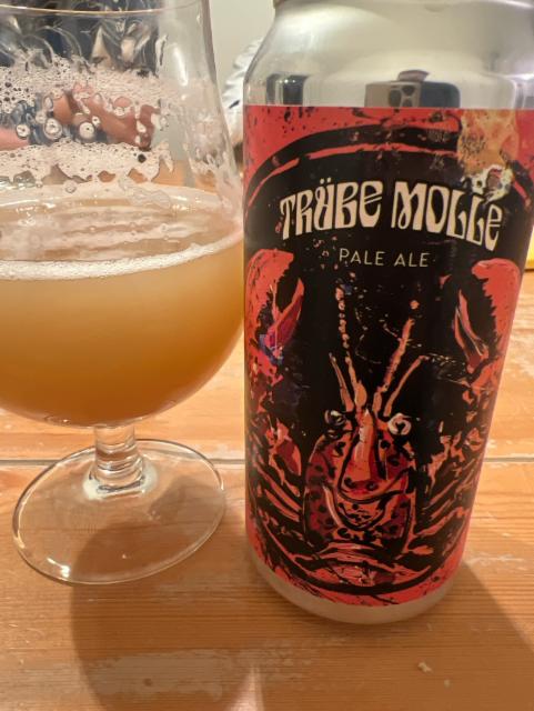 Trübe Molle, Schwarze Rose