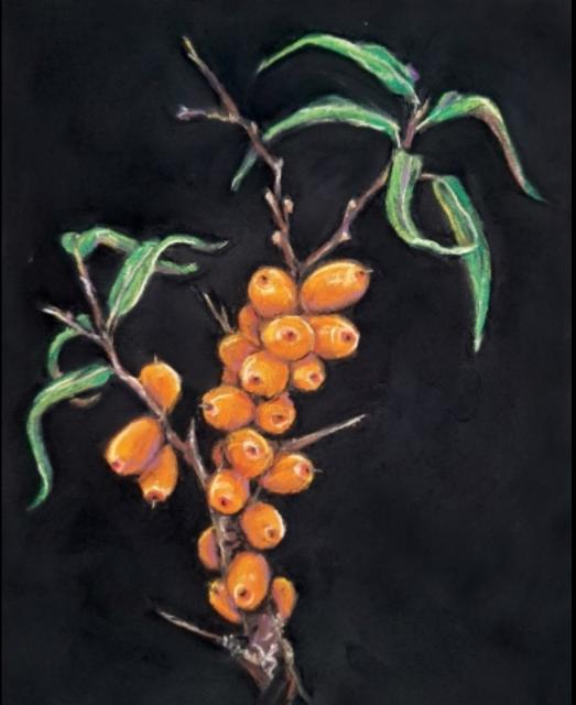 Turnâ 6.4%, Paihalas Brewery, Finland