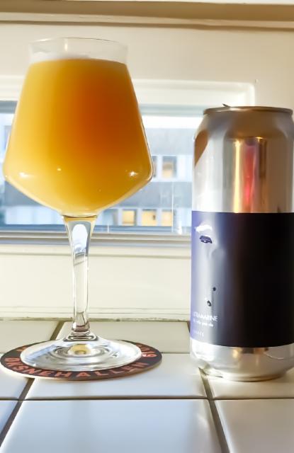 ultramarine 7.1%, Finback Brewery, United States