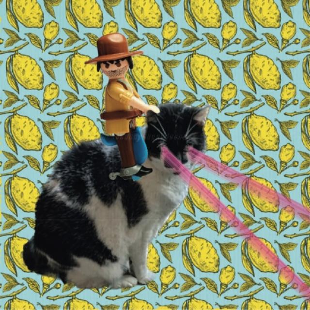 Un-yuzu-ale 4.6%, Nomade Brewery, France