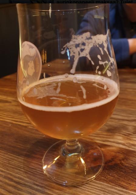 Untrue. False. Fake Etc. IPA 5.8%, Ten Men Brewery, Ukraine