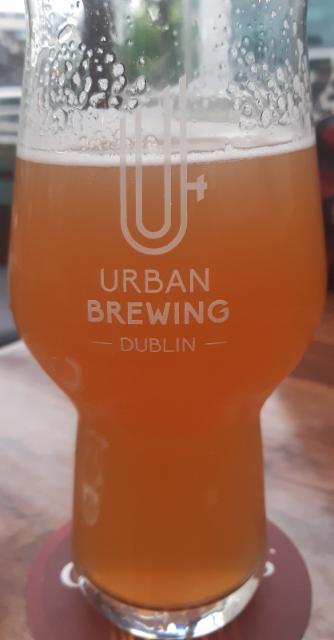 urban brewing citra ipa 5.3%, Urban brewing, France