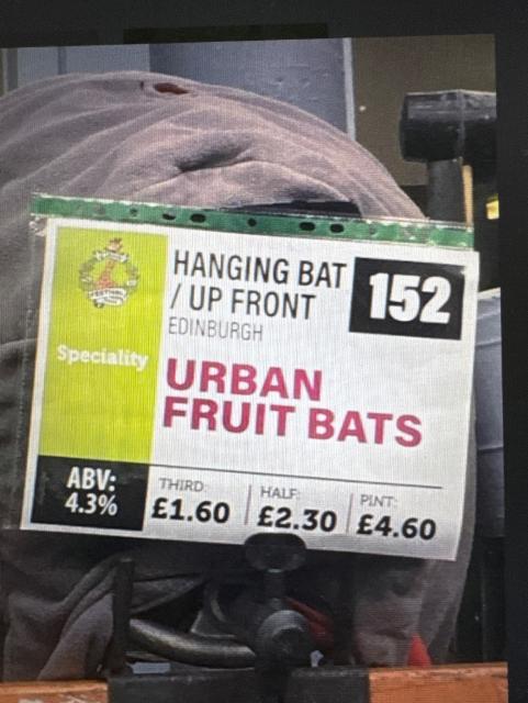Urban Fruit Bats, The Hanging Bat