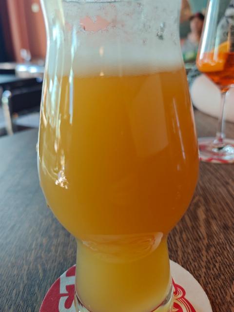 Urt Cobain 5.6%, Flying Couch Brewing, Denmark
