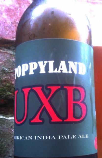 UXB 6.0%, Poppyland Brewery, England