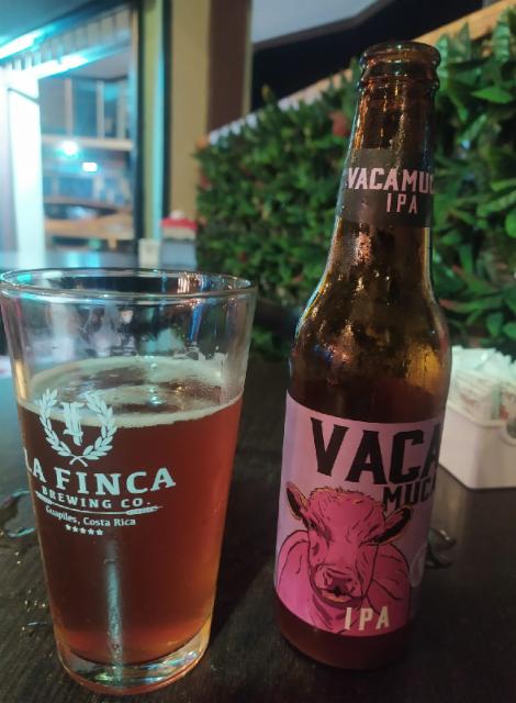 Vaca Muca 5.5%, La Finca Brewing Co., Costa Rica