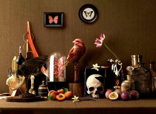 Vanité 5.7%, Brasserie Arcka, France