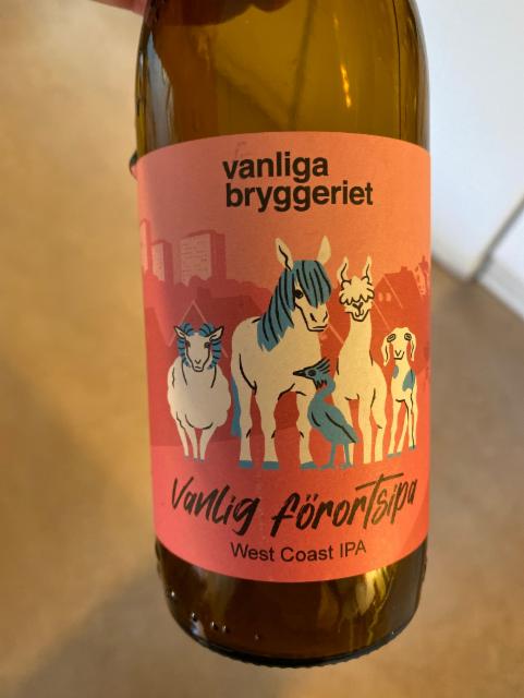 Vanlig Förortsipa, Vanliga Bryggeriet
