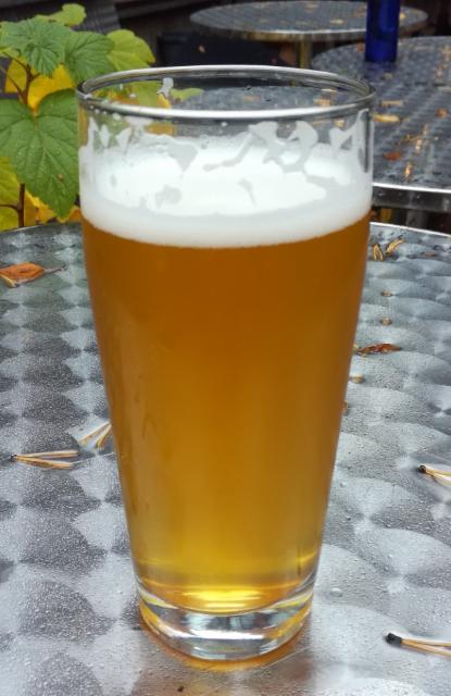 Vasikka 7.0%, Paloaseman Panimo, Finland