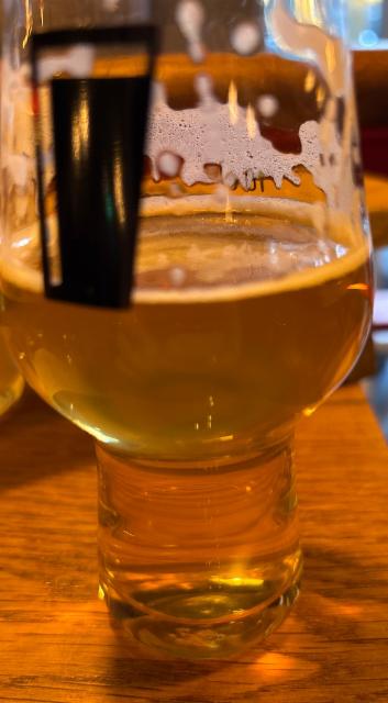 Vfx 6.0%, Birrificio Wild racoon, Italy