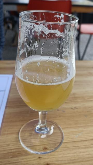 viameter 8.4%, Turning Point Brew Co., England