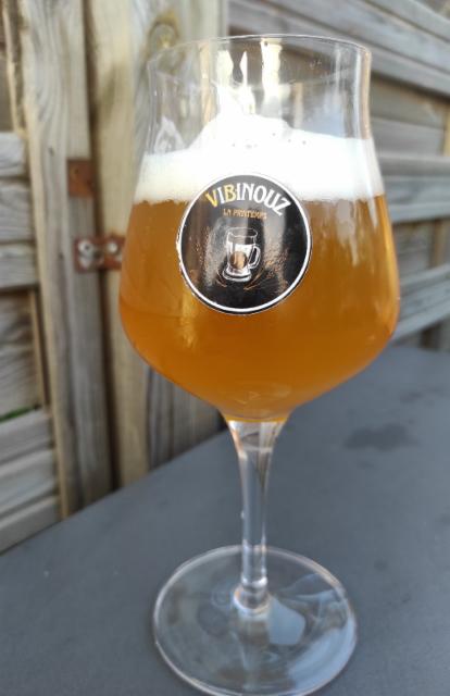 Vibinouz Saison 6.0%, Brasserie De Wagnonville - Lycée Agricole Biotech De Douai (L'Escreboise), France