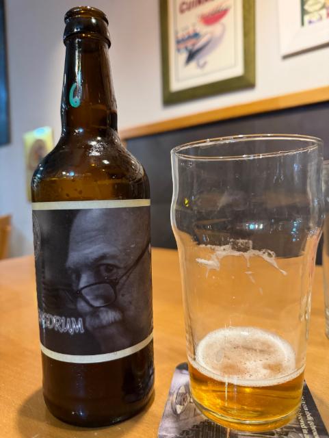 Vicensdrum, Masia Agullons