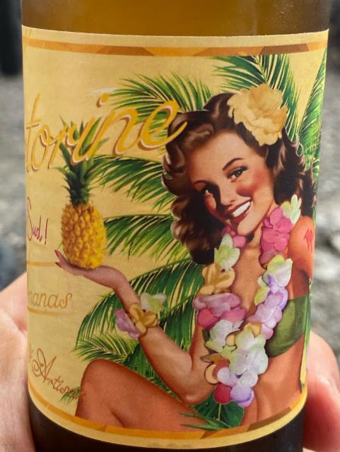Victorine Du Sud ! Ananas, La Brasserie Berroise - Hugins Brew