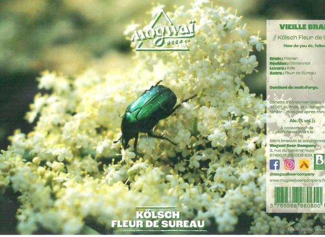 Vieille Branche 5.1%, Mogwaï Beer Company, France