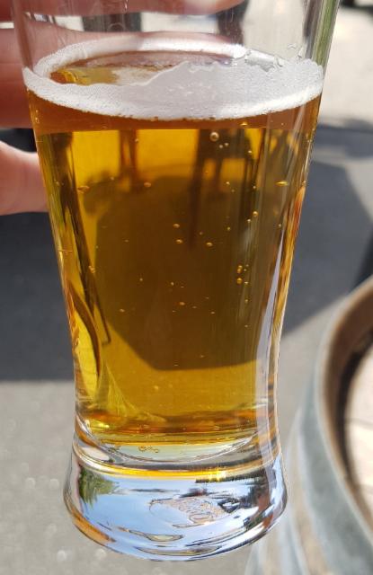 Vintage Gold 4.5%, Martinborough Brewery, New Zealand