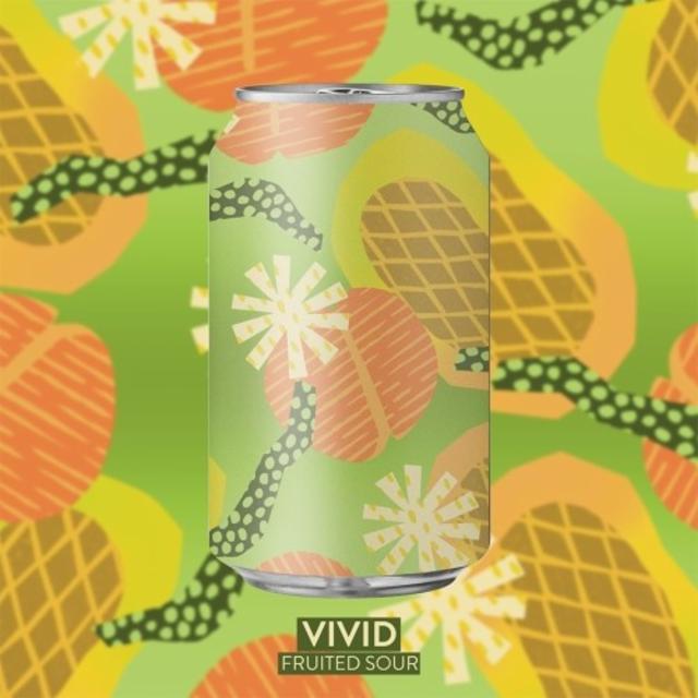 Vivid 5.0%, Art Is An Ale Brewing, France