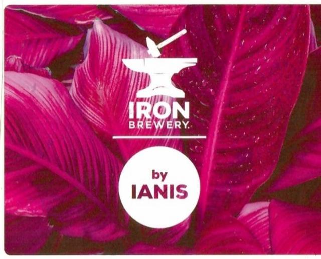 Voyage Voyage 6.0%, Brasserie Iron, France