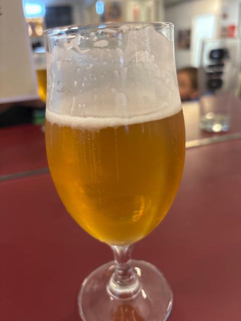 Wagon wheel 6.5%, Oso Brew Co., Spain
