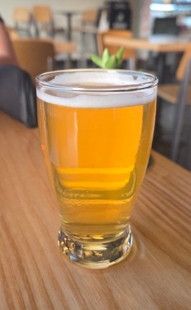 wai'ale'ale pale ale 5.0%, Hawaii standard time brewing, United States