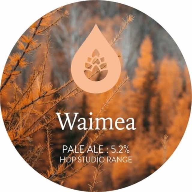 Waimea 5.2%, Polly's Brew Co., Wales