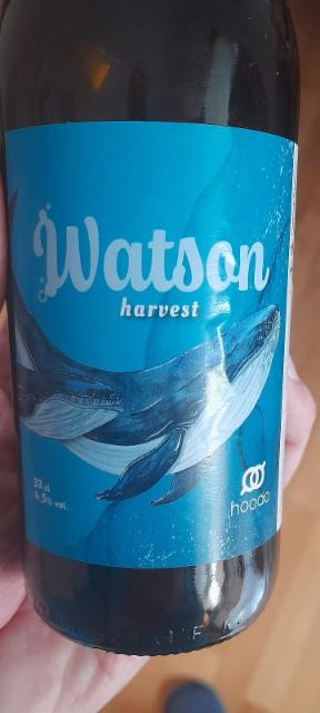 Watson 4.5%, Brasserie HooDo, France