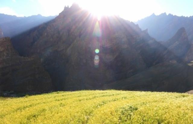 West Coast IPA Citra / Chinook 7.0%, Brasserie Popihn, France