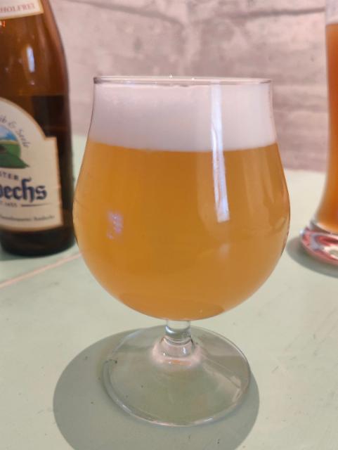 West Of Nelson 6.0%, Reset Brewery, Slovenia