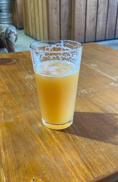 What's with Today, Today? 6.7%, Rhyme X Reason Brewery, New Zealand