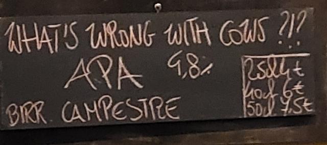 Whats wrong with the gows 4.8%, Birrificio Campestre, Italy