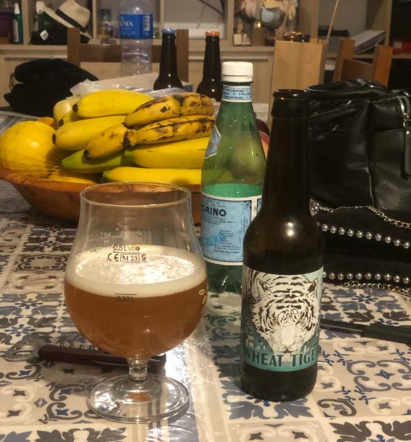 Wheat Tiger 5.0%, La Cerbière, France