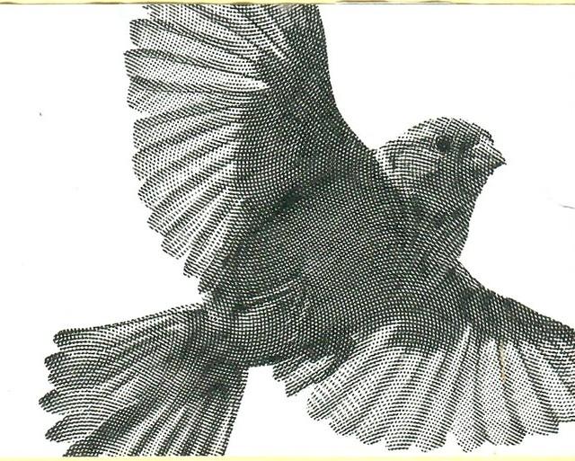 White Sparrow, La Sentinelle [Closed]