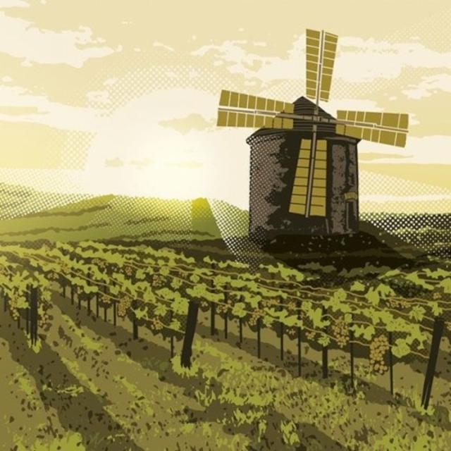 White Wine Saison 7.7%, Buxton Brewery, England