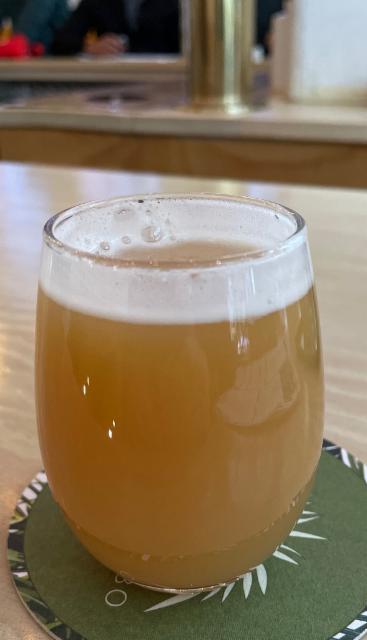 Why are the shared electric bikes always broken? 10.0%, Evil Twin Brewing, United States