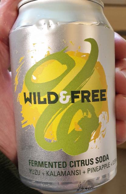 Wild & Free Fermented Citrus Soda 0.5%, Wild Beer, England