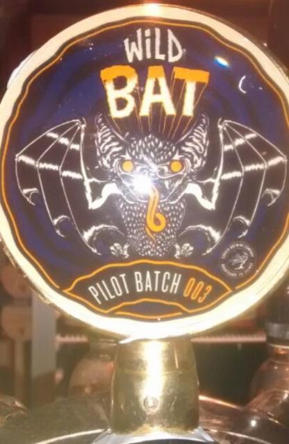 Wild Bat Pilot Batch 003 4.5%, Corrib Brewing Company, Ireland