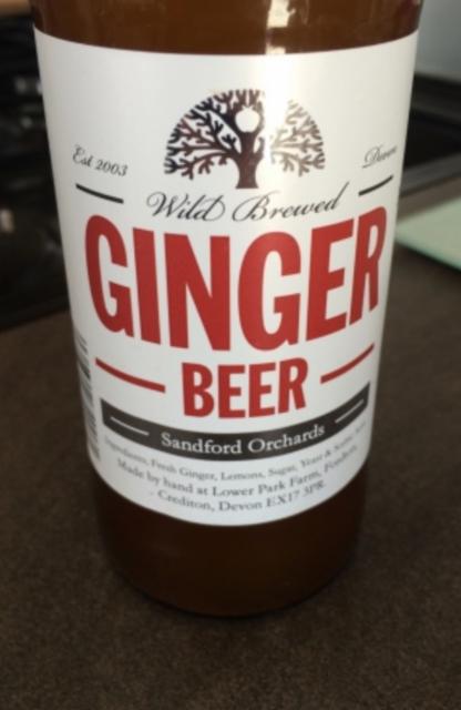 Wild Brewed Ginger Beer 4.5%, Sandford Orchards, England