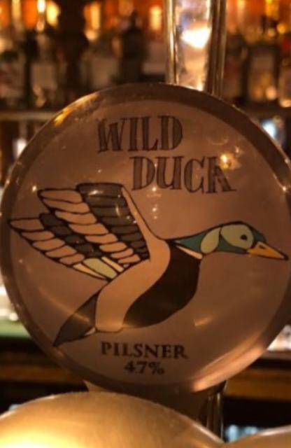 Wild Duck Pilsner, Wild Duck Brewing
