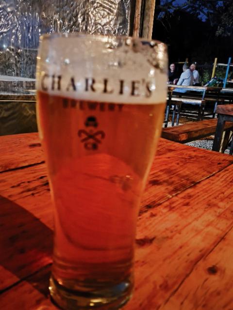 Wild Flower South African Pale Ale 5.0%, Charlie's Brewhouse, South Africa